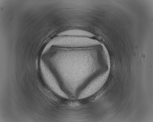 X0000083640262200703121727