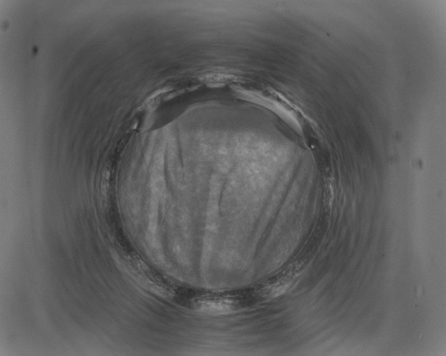 X0000083640263200703121727