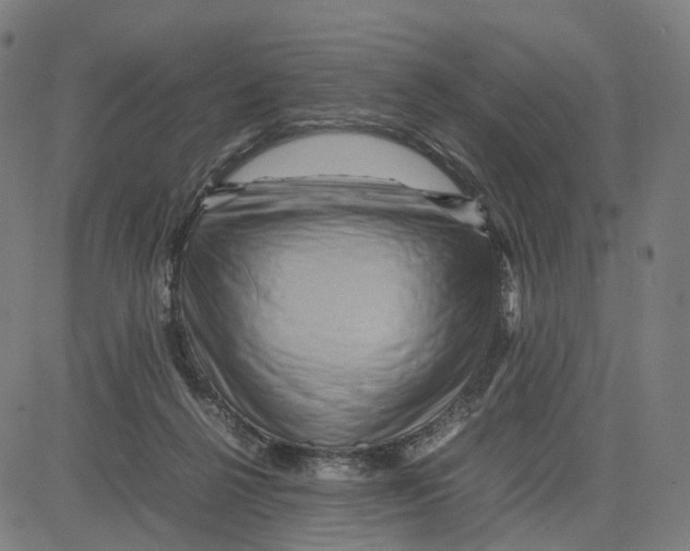 X0000083640264200703121727