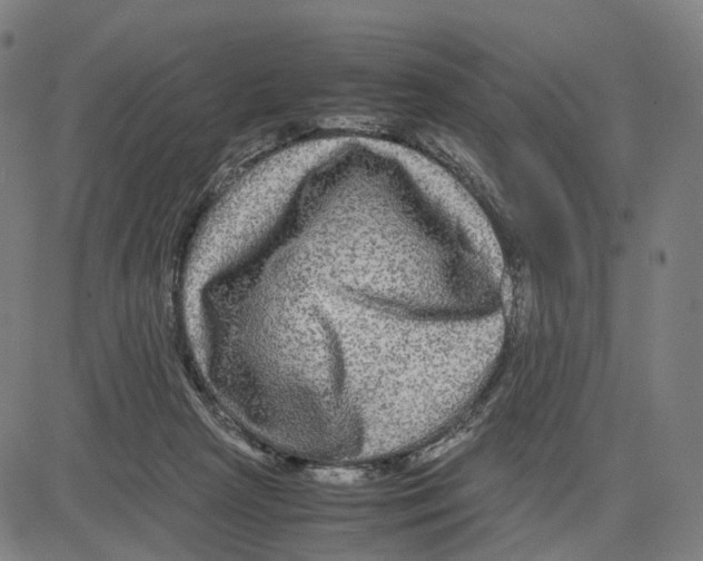 X0000083640265200703121727