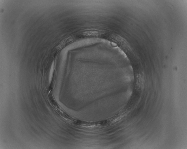 X0000083640267200703121727