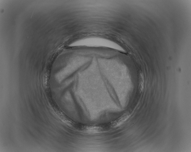 X0000083640268200703121727