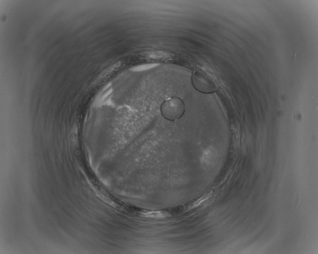 X0000083640269200703121727