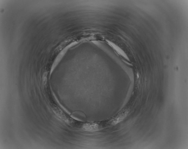 X0000083640271200703121727