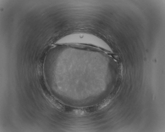 X0000083640272200703121727