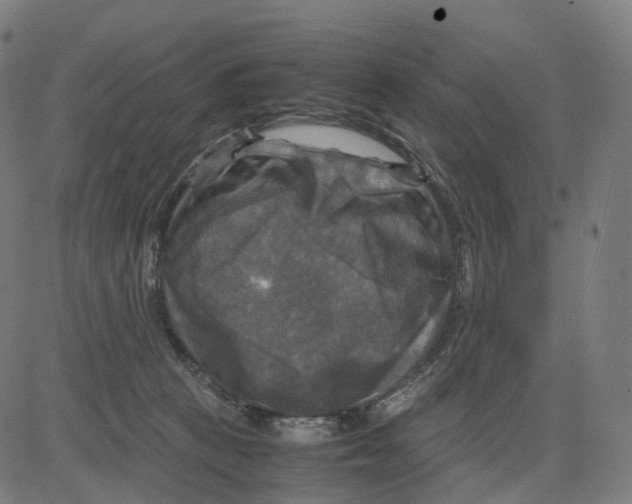 X0000083640273200703121727