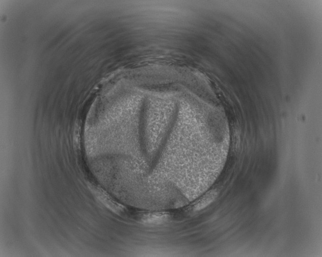 X0000083640274200703121727