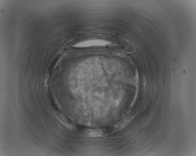 X0000083640275200703121727