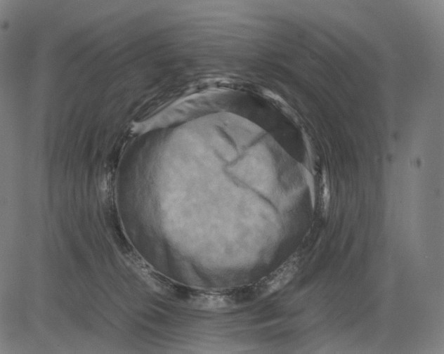 X0000083640276200703121727