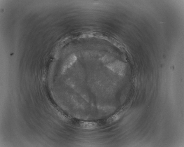 X0000083640277200703121727