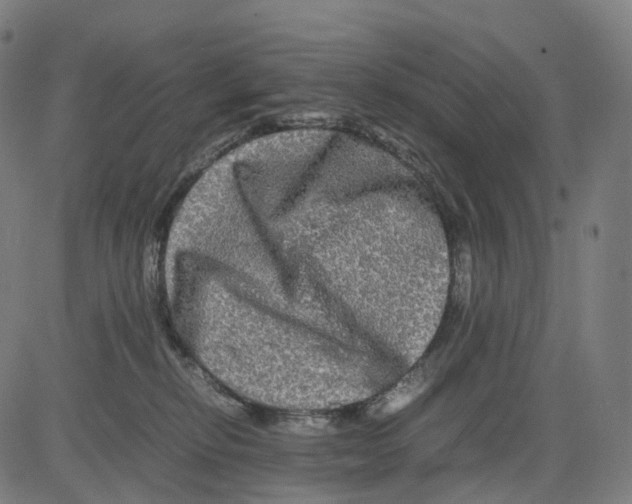 X0000083640278200703121727