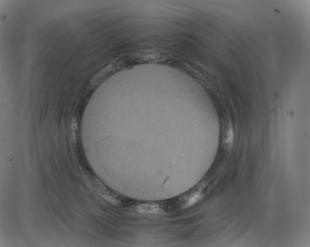 X0000083640279200703121727