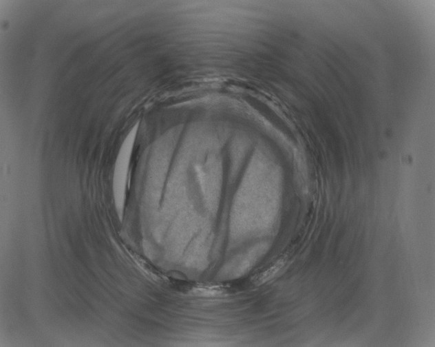 X0000083640280200703121727