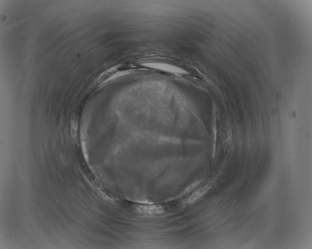 X0000083640281200703121727