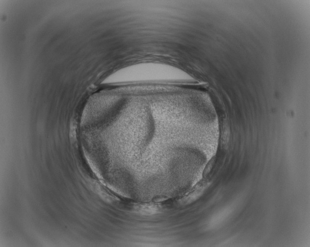 X0000083640282200703121727