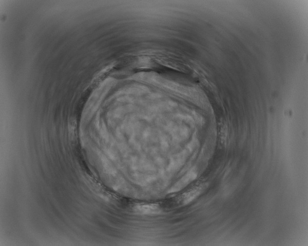 X0000083640283200703121727