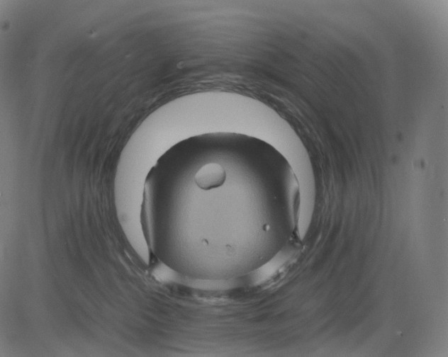 X0000083640284200703121727