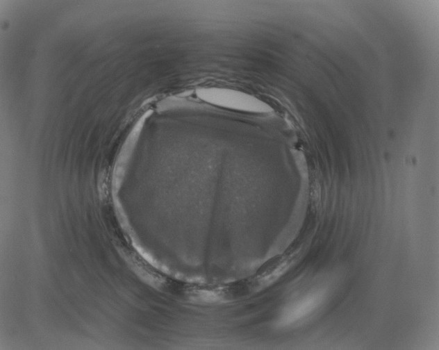 X0000083640285200703121727