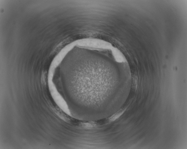 X0000083640286200703121727