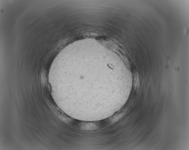 X0000083640287200703121727