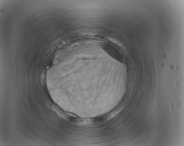 X0000083640288200703121727