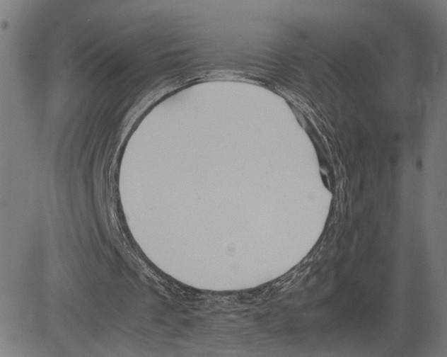 X0000083640289200703121727