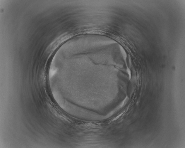 X0000083640290200703121727