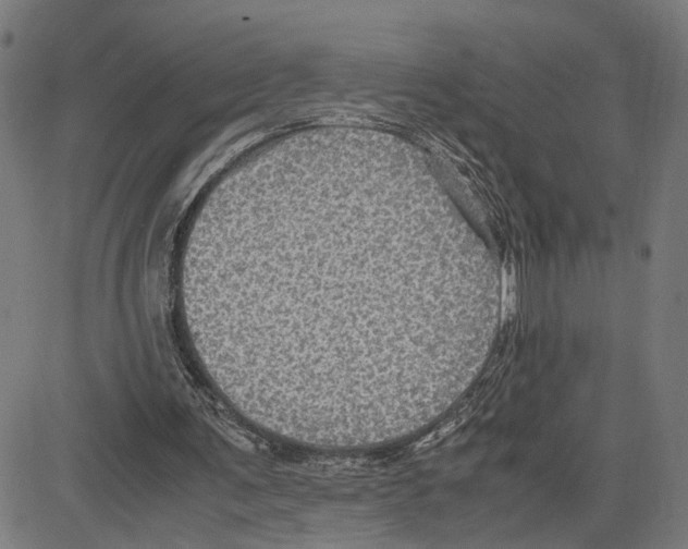 X0000083640291200703121727