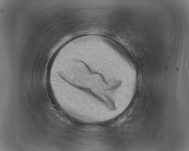 X0000083640292200703121727