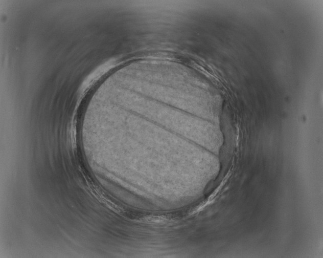 X0000083640294200703121727