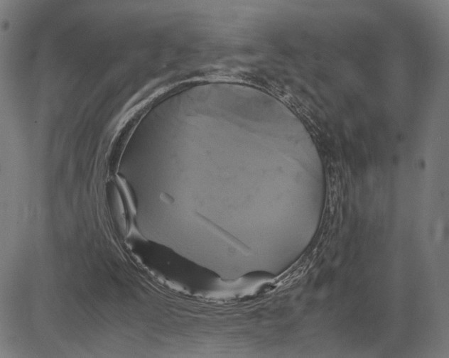 X0000083640295200703121727