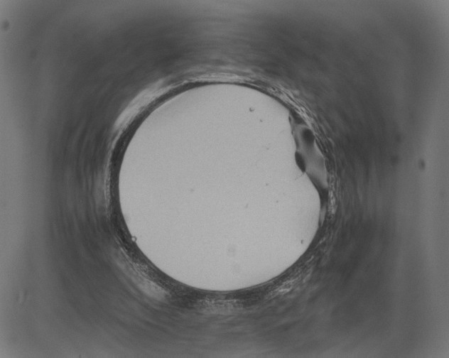 X0000083640296200703121726