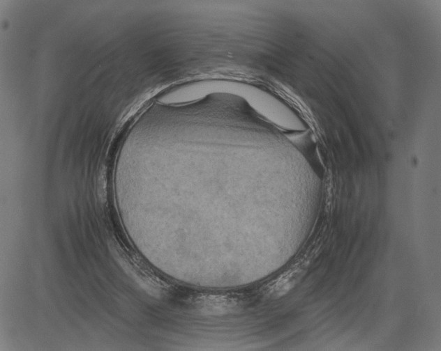 X0000083640298200703121726