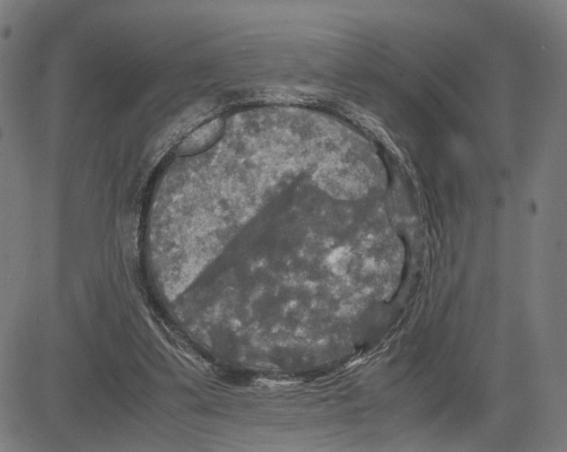 X0000083640299200703121726