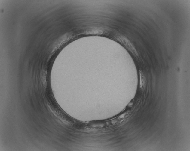 X0000083640300200703121726