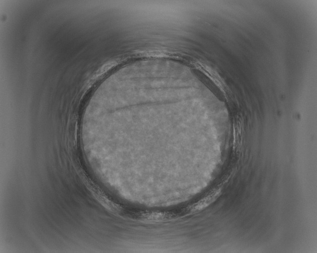 X0000083640301200703121726