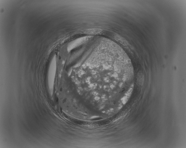 X0000083640303200703121726