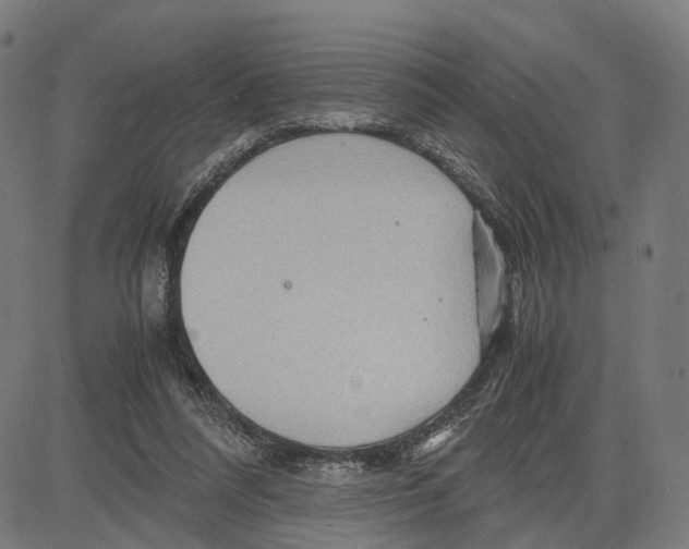 X0000083640304200703121726