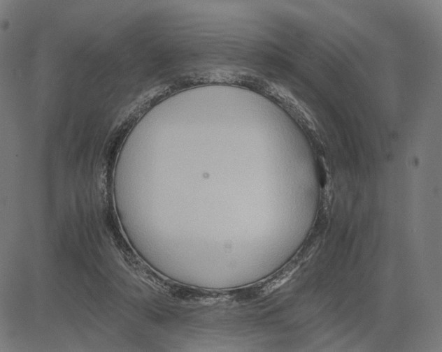 X0000083640306200703121726