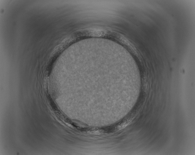 X0000083640307200703121726