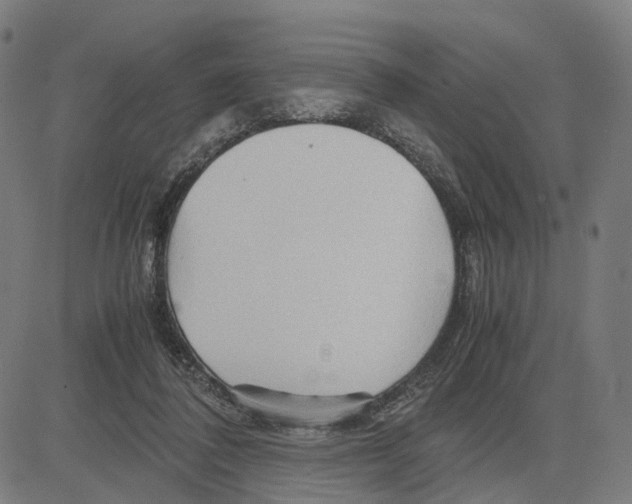 X0000083640308200703121726