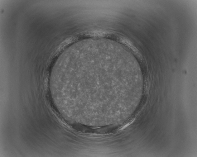 X0000083640309200703121726