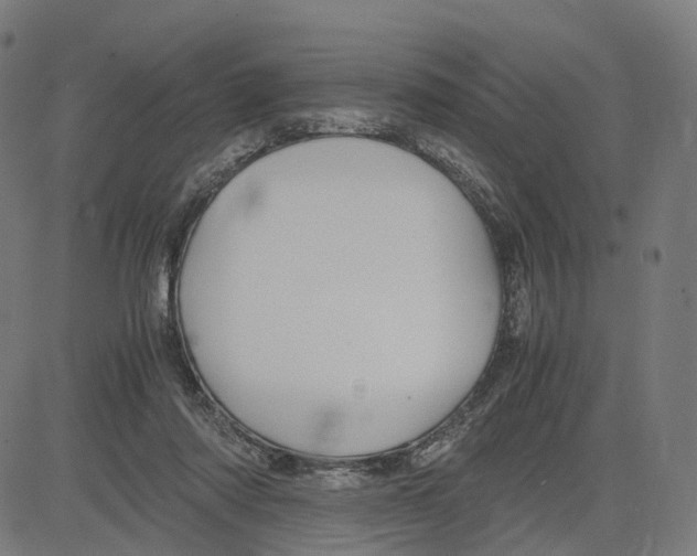 X0000083640310200703121726