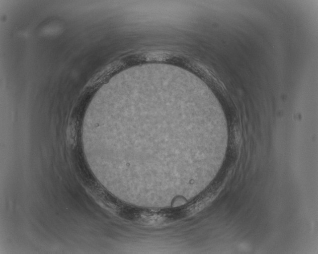 X0000083640311200703121726