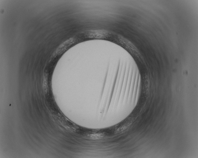 X0000083640312200703121726