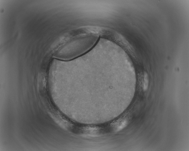 X0000083640313200703121726