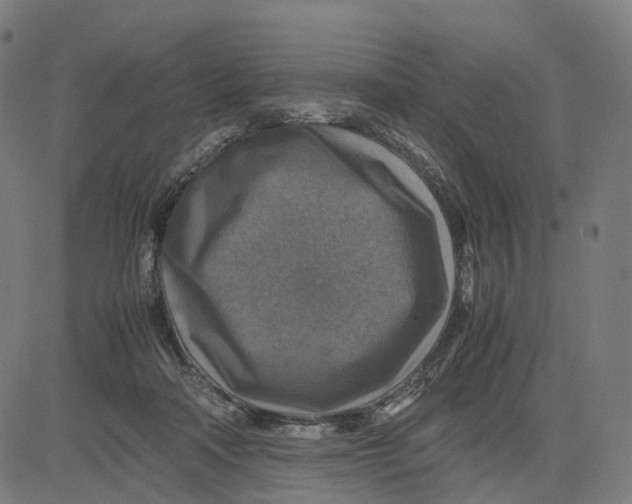 X0000083640314200703121726