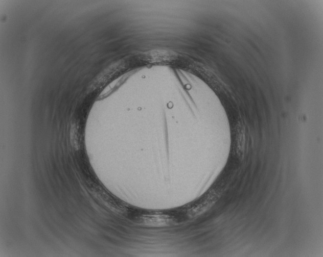 X0000083640316200703121726