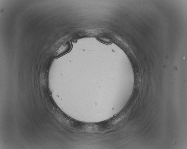 X0000083640317200703121726