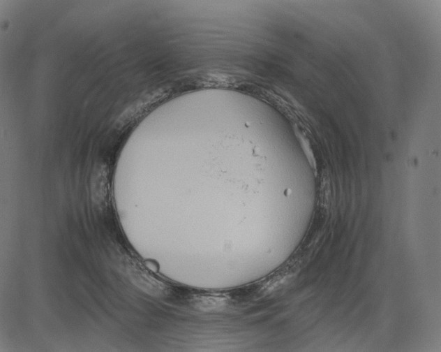 X0000083640318200703121726